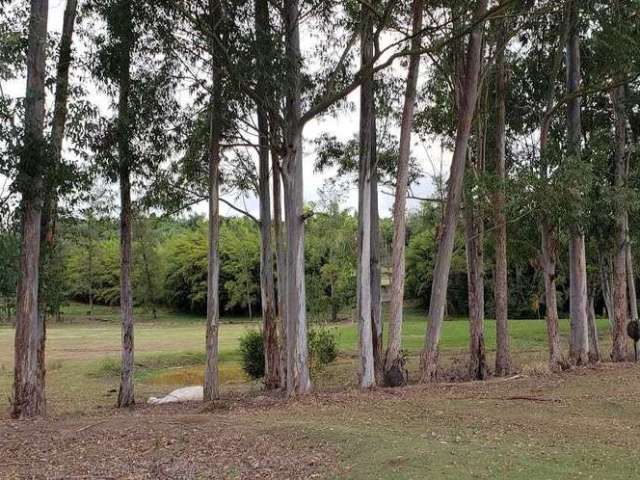 Sítio à venda em Quadra/SP