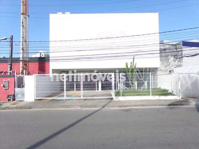 Locação Ponto comercial Pituba Salvador