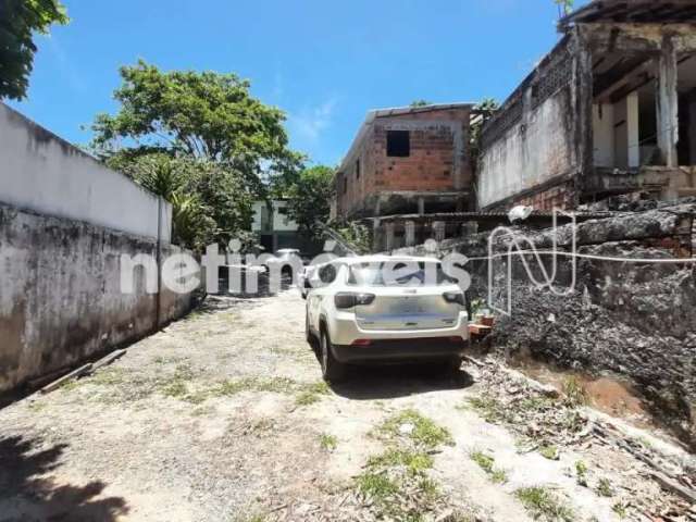 Venda Lote-Área-Terreno Rio Vermelho Salvador