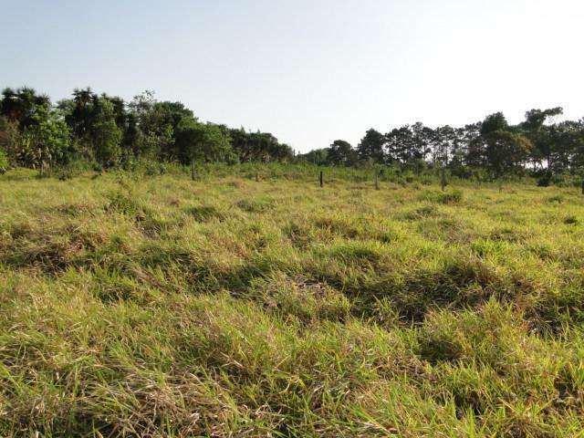 Área para Venda em São Paulo, Itaquera