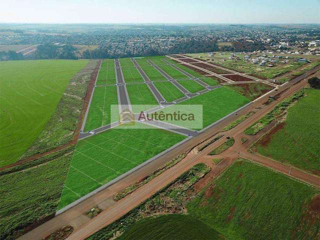 Terreno para Venda em Cascavel, BRASMADEIRA