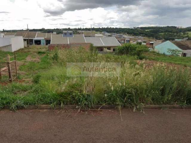 Terreno para Venda em Cascavel, FLORAIS