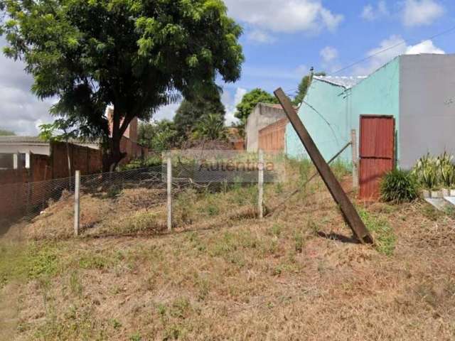 Terreno para Venda em Cascavel, BRASMADEIRA