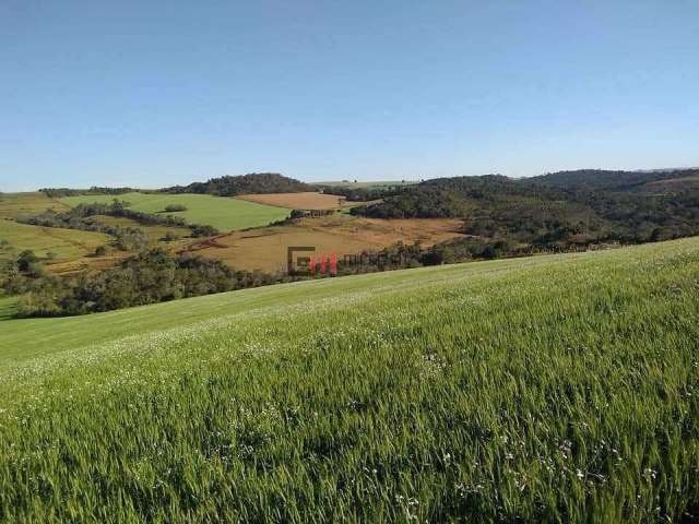 Sítio de 12,79 alqueires à venda - R$. 3.200.000,00,  na zona sul de Londrina, aproximadamente 20 k