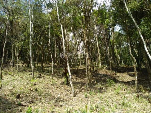 Terreno Condomínio Rural para Venda em Rancho Queimado, Centro