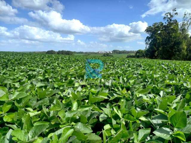 Fazenda com 150 hectares, otima produtividade!