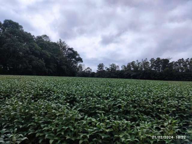 Área Rural de 5 Alqueires - Colonia Dona Luiza