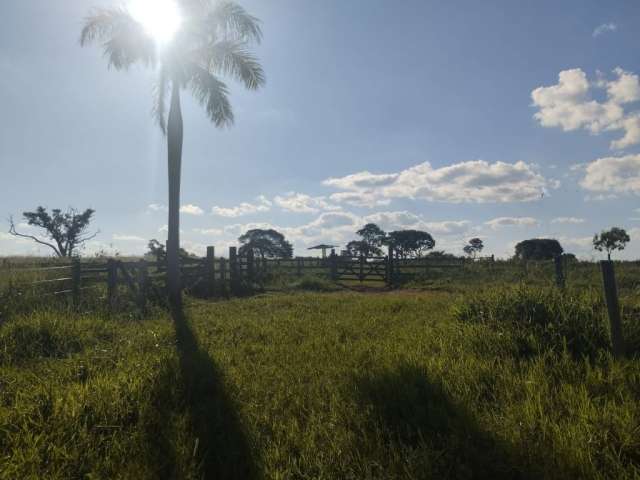 Vende-se fazenda em Bocaiuva