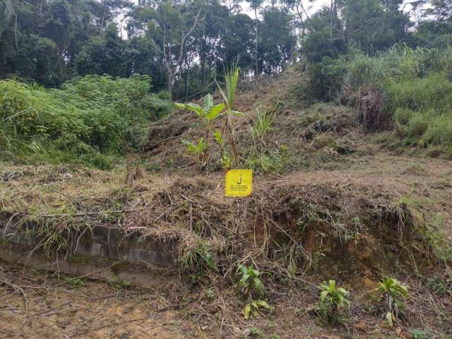 Terreno à venda, 360 m² por R$ 260.000,00 - São Pedro - Juiz de Fora/MG