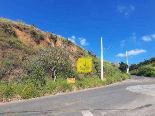 Terreno à venda, 250 m² por R$ 150.000,00 - Sagrado  Coração  de Jesus - Juiz de Fora/MG