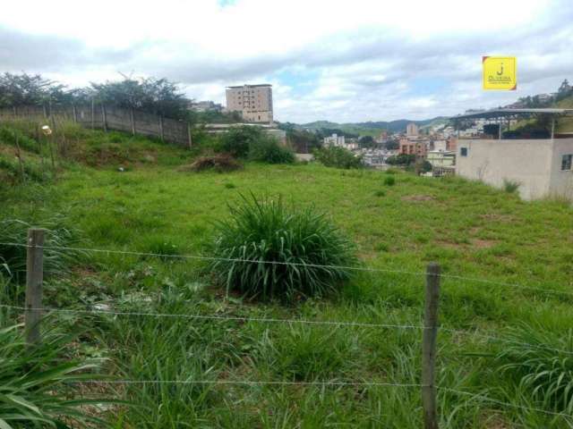 Terreno à venda, 200 m² por R$ 130.000,00 - Nova Benfica - Juiz de Fora/MG