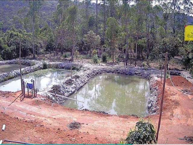 Pesque e Pague à venda, com terreno de 6000m² por R$175.000,00 - Na estrada de Torreões (Juiz de Fora)/MG.