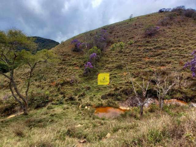 Área à venda, 797000 m² por R$ 2.300.000,00 - Filgueiras - Juiz de Fora/MG