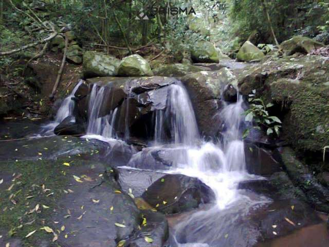 Chácara com 24 ha em Itaara, linda propriedade com Riacho