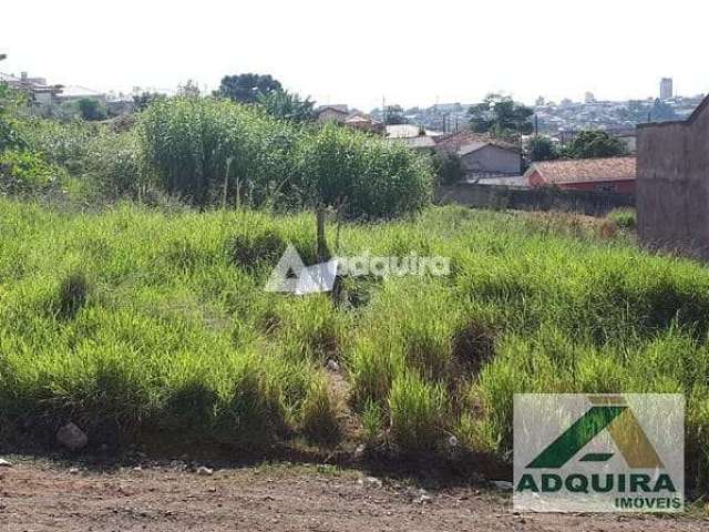 Terreno à Venda, Contorno, Ponta Grossa, PR