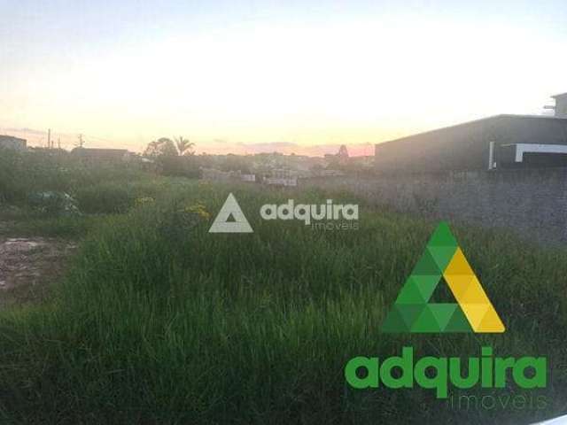 Terreno à venda 432M², Jardim Carvalho, Ponta Grossa - PR