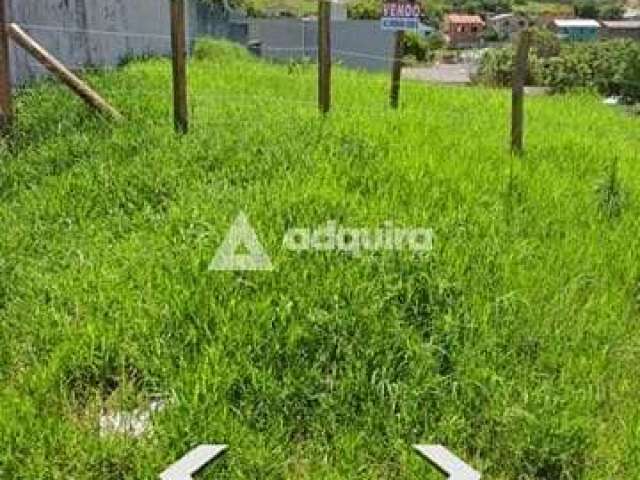 Terreno à venda 528M², Jardim Carvalho, Ponta Grossa - PR