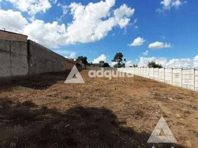 Terreno à venda e locação 1000M², Oficinas, Ponta Grossa - PR