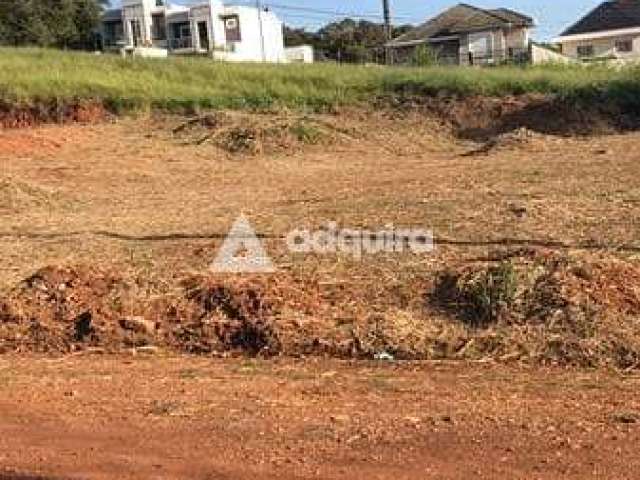 Terreno à venda 420M², Estrela, Ponta Grossa - PR