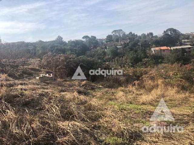 Terreno à venda 348.34M², Chapada, Ponta Grossa - PR