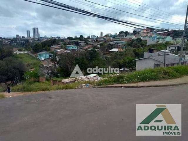 Terreno de Esquina à Venda - Vila Coronel Cláudio - Na Avenida Ana Rita, com 462m² de terreno (14m