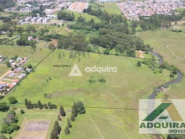 Terreno à venda 65000M², Uvaranas, Ponta Grossa - PR