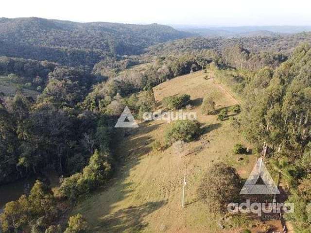 Chácara à venda 2 Quartos, 48400M², Zona Rural, Ponta Grossa - PR