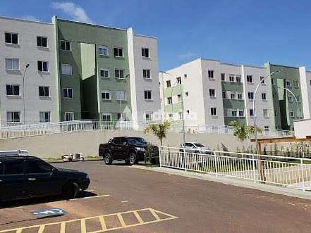 Ótimo apartamento, semimobiliado para venda - Estrela, Ponta Grossa, PR