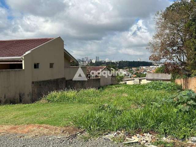 Terreno à venda, com 520m² no bairro Boa Vista, Ponta Grossa, PR