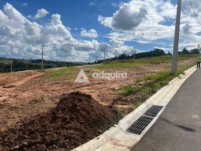 Terreno à venda, Jardim Carvalho, Jardim Alpha, Ponta Grossa, PR