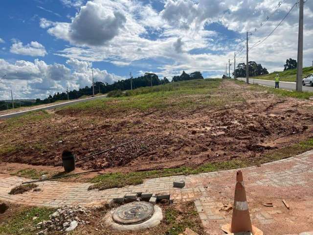 Terreno à venda, Jardim Carvalho, Condomínio Jardim Alpha, Ponta Grossa, PR