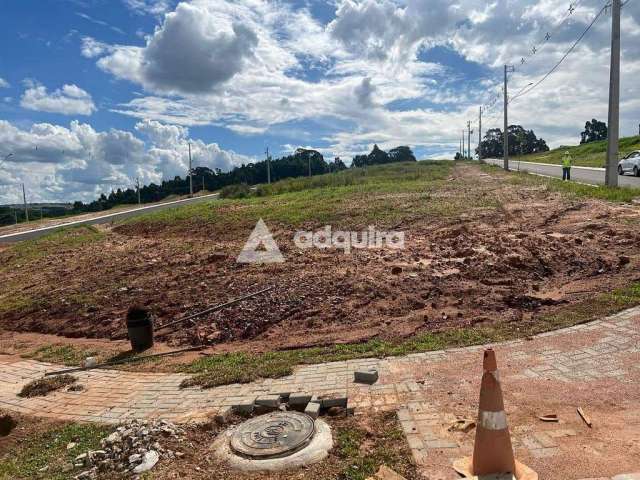 Terreno à venda, Jardim Carvalho, Condomínio Jardim Alpha, Ponta Grossa, PR