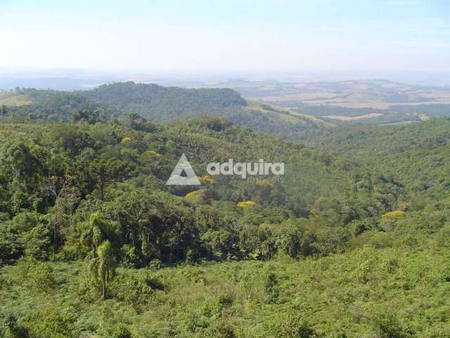 Fazenda à venda, Zona Rural, Tibagi, PR