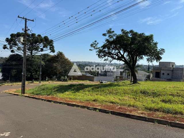 Terreno à venda, Estrela, na Said Ajuz, esquina com silvia Machado- Ponta Grossa, PR