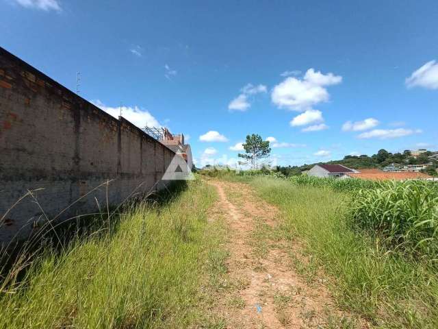 Terreno à venda, Estrela, Ponta Grossa, PR