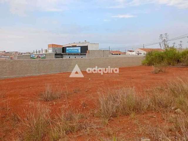 Terreno à venda no condomínio Habitacional Nova, Ponta Grossa, PR