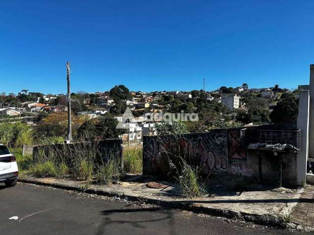 Terreno à venda, Oficinas, Ponta Grossa, PR