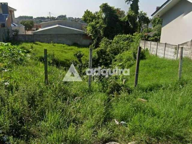 Terreno à venda, Jardim Carvalho, Ponta Grossa, PR