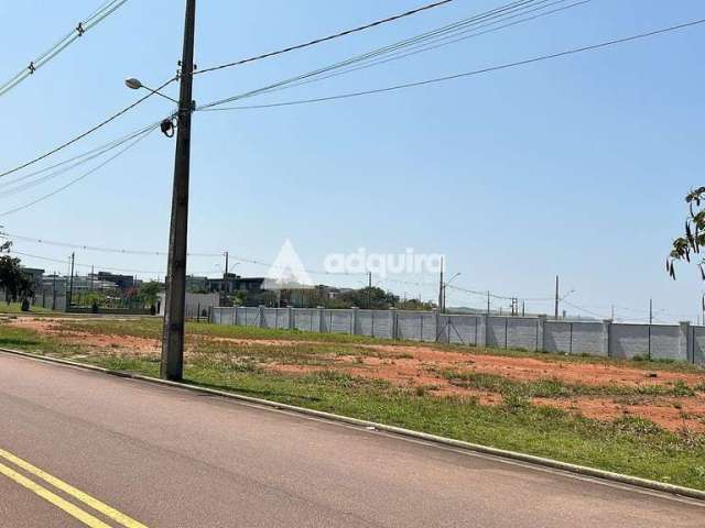 Terreno comercial à venda, Jardim Carvalho, Ponta Grossa, PR