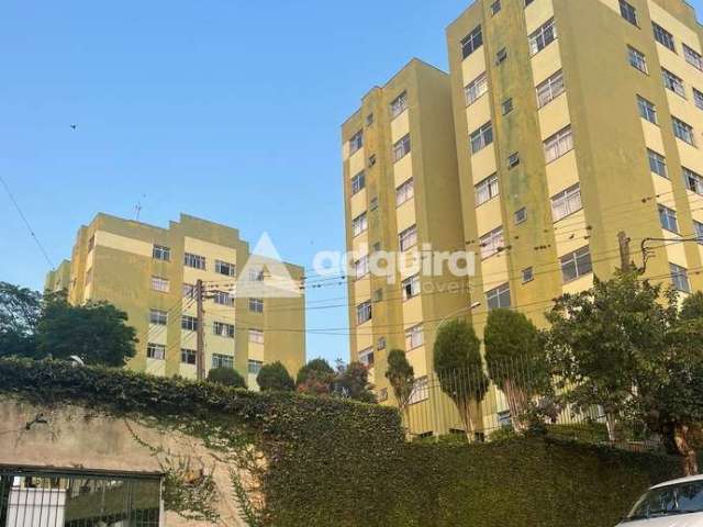 Apartamento para locação, Estrela, Ponta Grossa, PR