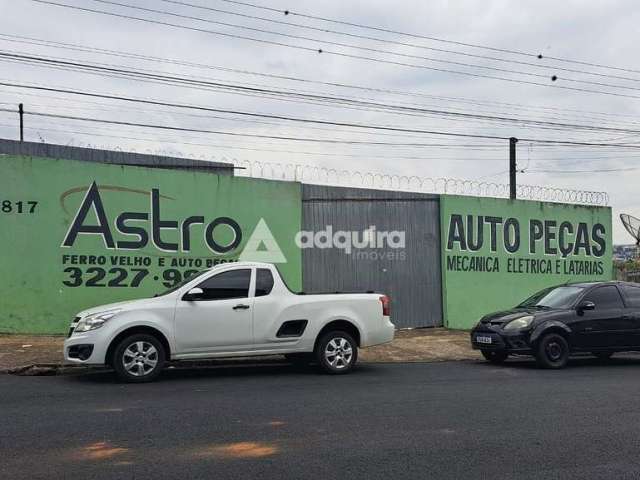 Terreno à venda, Nova Rússia, Ponta Grossa, PR