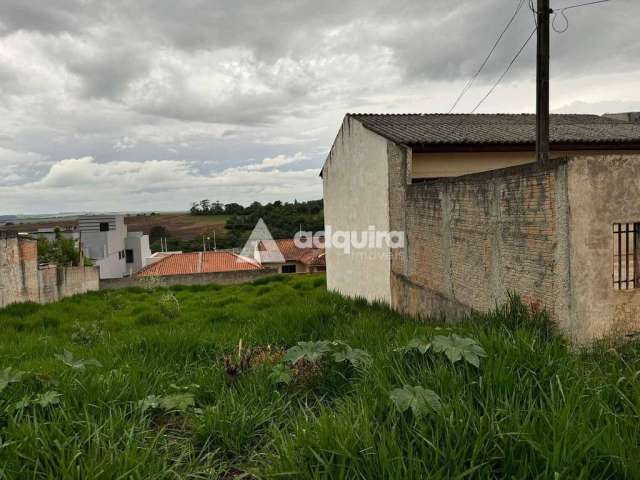 Terreno à venda, Neves, Ponta Grossa, PR