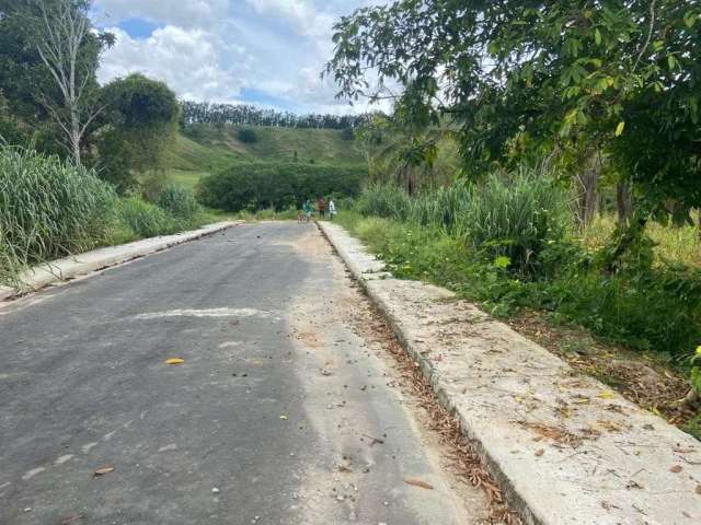 Terreno em São Sebastião de Braúnas  -  Belo Oriente