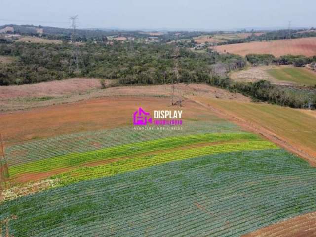 Terreno à venda na Estrada do Lageadinho, 01, Lageadinho, Ibiúna por R$ 17.000.000