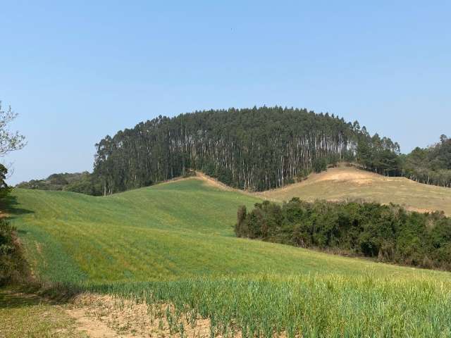 Terreno à venda no Bateias de Cima em Campo Alegre