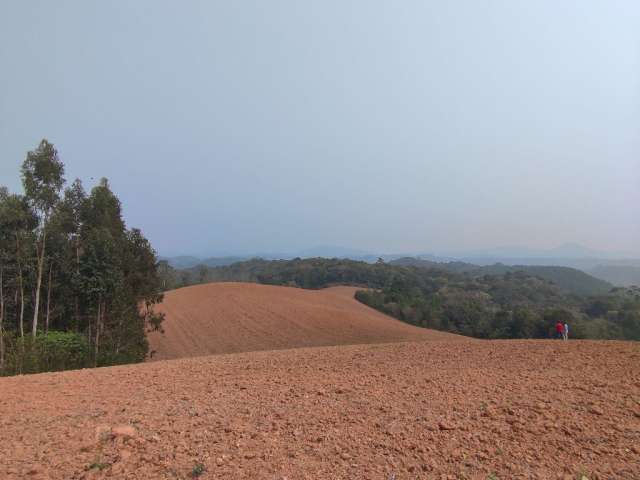 Terreno para Investidores - Campo Alegre, Bateias de Cima