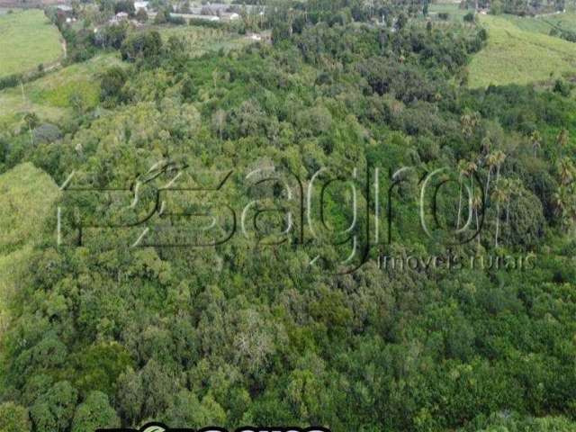 Sítio à venda, 30 hectares por r$ 1.500.000 - centro - sapé/pb para | Centro, Sapé, Paraíba