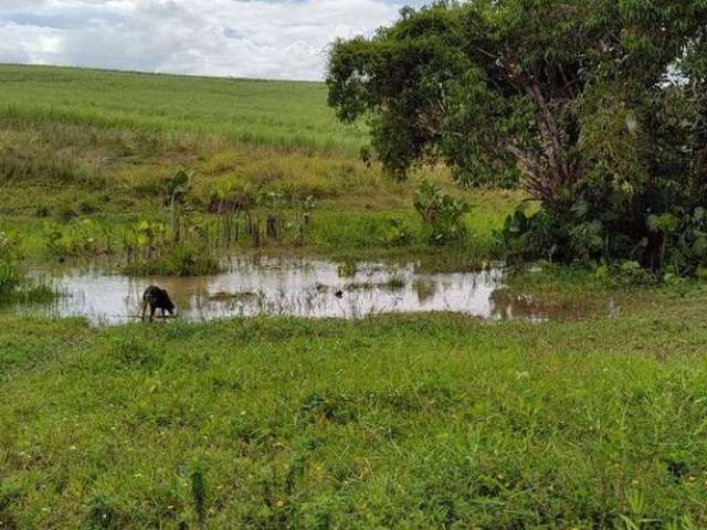 Fazenda à Venda, Povoado - Pedras de Fogo