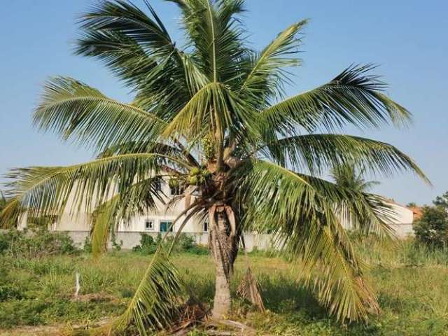 Terreno em Condomínio para Venda em Araruama, Praia Seca