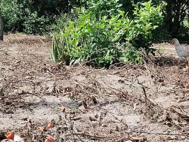 Sítio para Venda em Saquarema, Bicuiba, 3 dormitórios, 2 banheiros